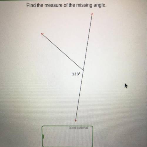 Find the measure of the missing angle.
123*
HELP ASAP