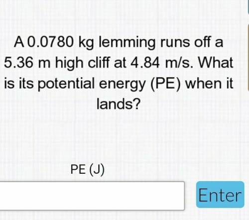 PLS HELP ME. A 0.0780 kg lemming runs off a 5.36m high cliff at 4.84 m/s what is it potential energ