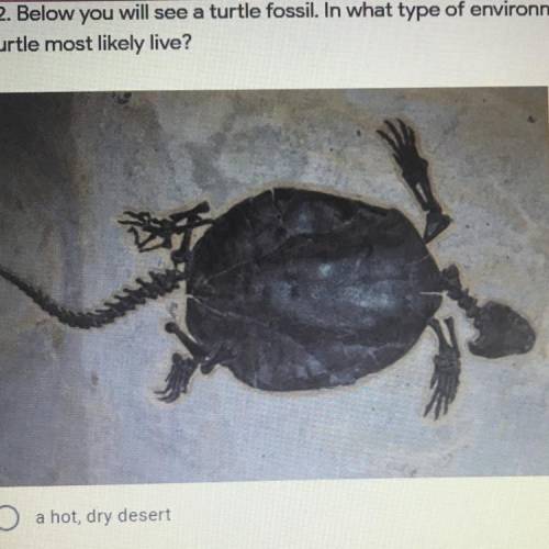 What type of environment did this

turtle most likely live?
a hot, dry desert
an area near a pond