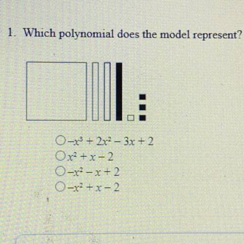 Which polynomial does the model represent?