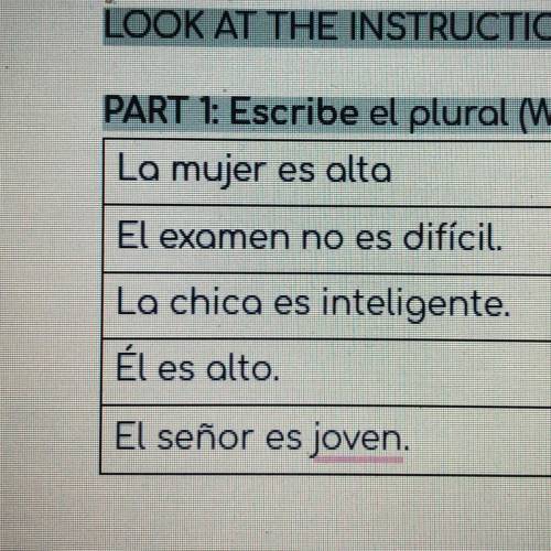 Write the Plural! Spanish, help!!