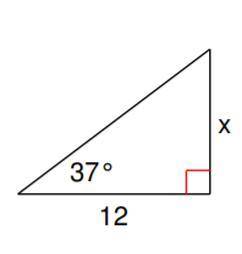 What is the length of x?