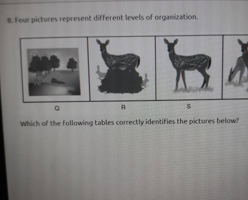 Four pictures represent different levels of organization. Which of the following tables correctly i