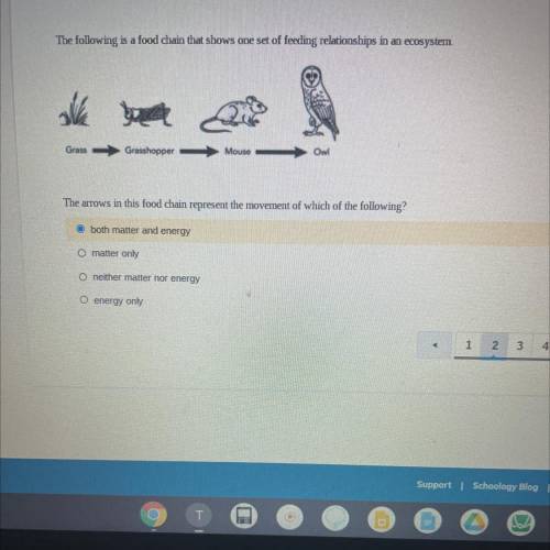 I need help answering this please