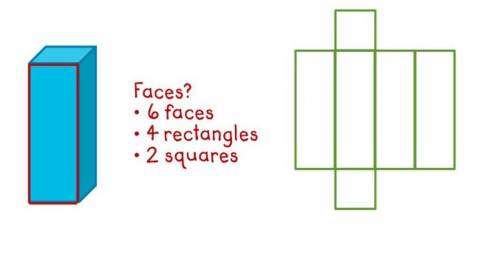 Draw a net for this rectangular prism.
