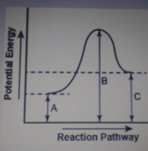 The diagram below shows the potential energy changes for a reaction pathway.

Part 1: Does the dia