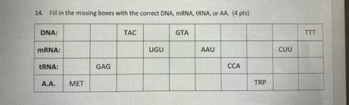 (WILL GIVE BRAINLIEST) 
Fill in the missing boxes with the correct DNA, mRNA, TRNA, or AA.