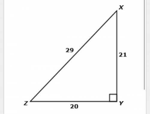 Triangle XYZ is pictured below.

Select the ratio that represents sin(x)
A) 21/29
B) 29/21
C) 20/2