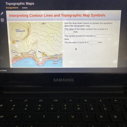 Use the drop-down menus to answer the questions

about the topographic map.
The value of the index