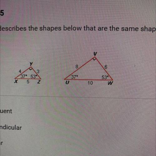 Which term best describes the shapes below that are the same shape but not

the same size?
8
6
4
3