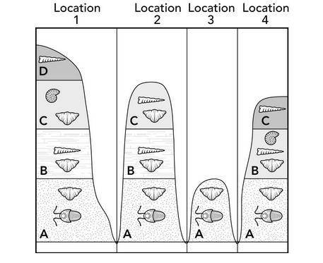 The diagram shows fossil layers in different locations. The different shading in the diagram indica