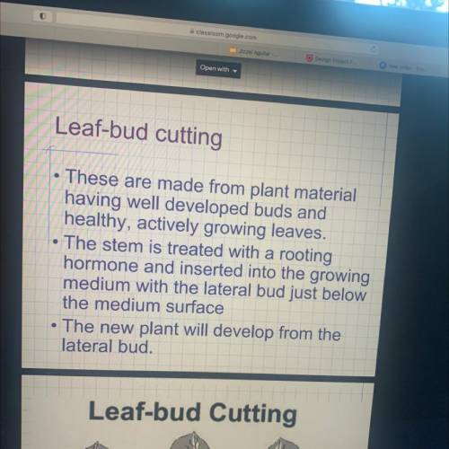 How are plants propagated using
leaf and leaf-bud cuttings?