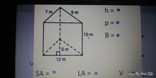 What is the
HEIGHT
PERIMETER OF BASE
BASE
SURFACE AREA
LATERAL AREA
VOLUME