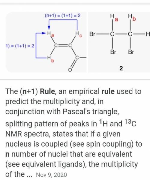 What is ( n + 1 ) rule?​