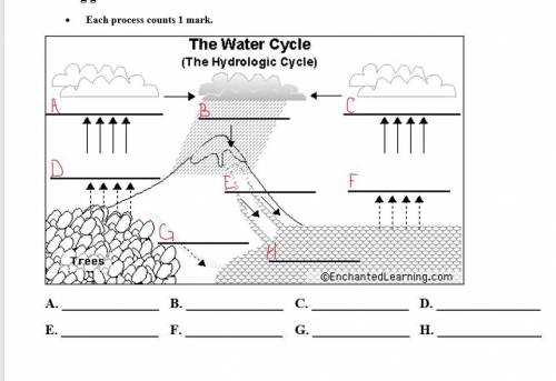 Fill in the water cycle (Please help)