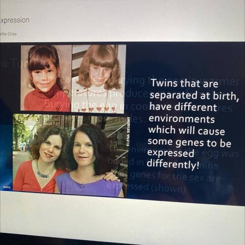 Why do identical twins separated at birth show DIFFERENCES as seen in the pictures?

A. Their DNA
