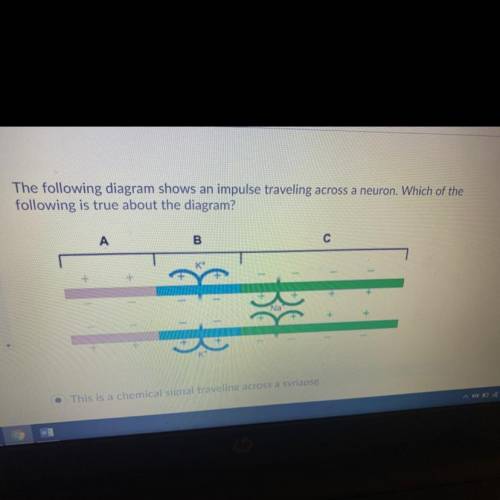 1. This is a chemical signal traveling across a synapse.

2. This is a chemical signal traveling t