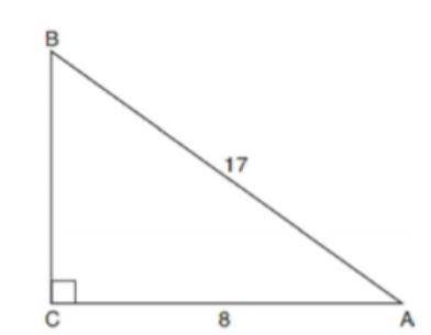 The diagram shows right triangle ABC with side AC = 8 and side AB = 17.

1.What is the value of BC