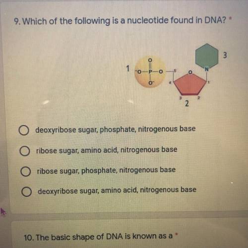 9. Which of the following is a nucleotide found in DNA?

1
O
deoxyribose sugar, phosphate, nitroge
