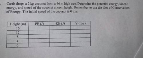 Curtis drops a 2kg coconut from a 16 m high tree. determine the potential energy, kinetic energy, a