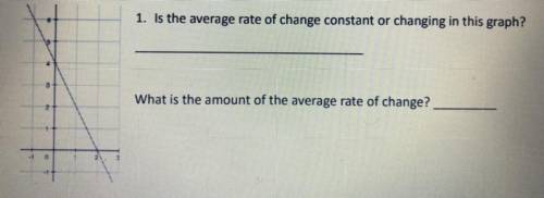 What is the amount of the average rate of change?