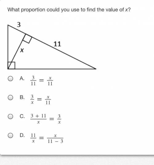 What proportion could you use to find the value of x?