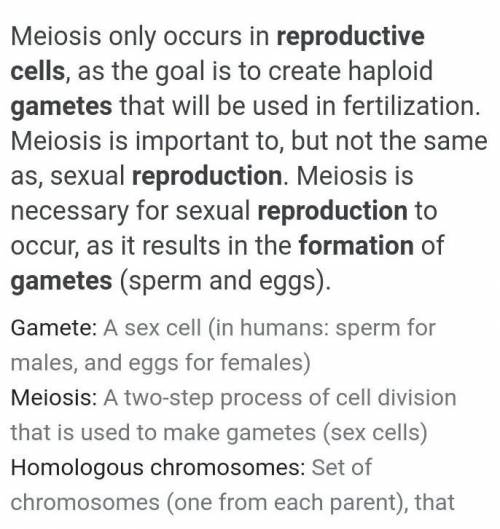 It is the gametes formation of a sex cells or reproductive cells.​