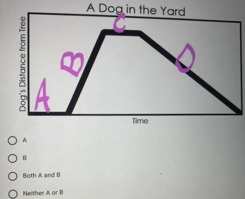 Which piece may describe the dog running from towards the owner?

Which piece may describe the dog