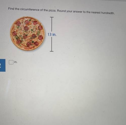 Find the circumference of the pizza. Round your answer to the nearest hundredth.
13 in.
