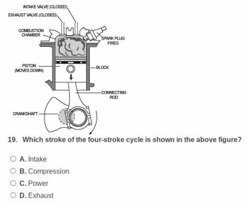 Which stroke of the four-stroke cycle is shown in the above figure?