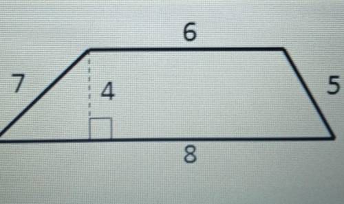 What are the bases in the trapezoid?​