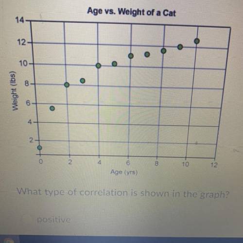 What type of correlation is shown in the graph ? positive no correlation linear negative