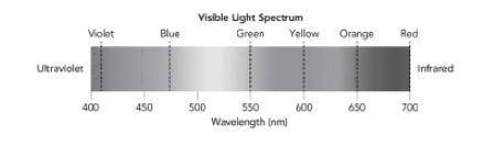 Hal wonders about the properties of electromagnetic waves that make up the visible light spectrum.