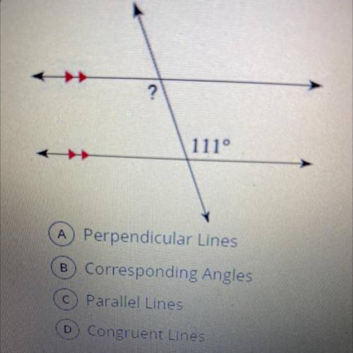 In the following diagram,what do the red arrows on the line mean?