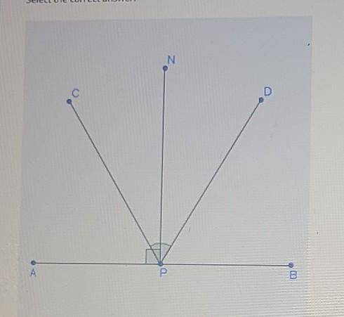 In the diagram, PN is perpendicular bisector of AB and is also the ange bisector of ​