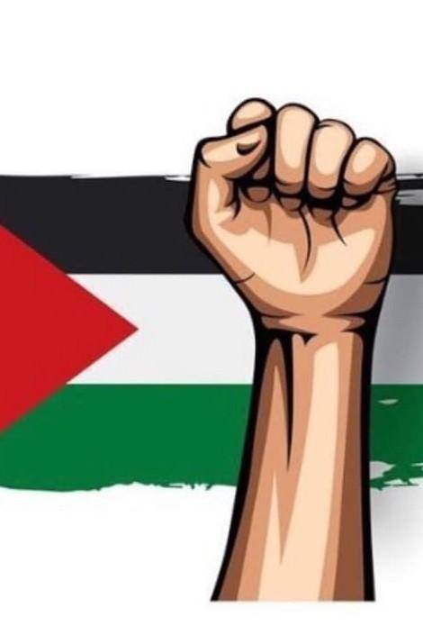 Free Palestine........​