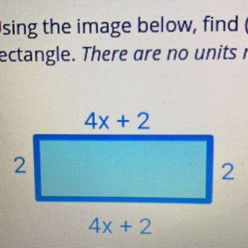 Find the perimeter of the rectangle in the area of the rectangle￼