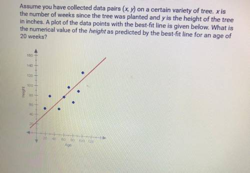 Assume you have collected data pairs (x, y) on a certain variety of tree. x is

the number of week