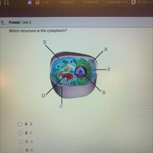 Which structure is the cytoplasm?
A. B
B. E
C. D
D. A
