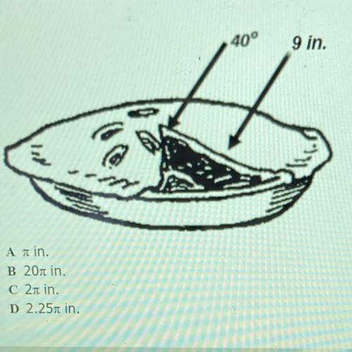 Find the length of the exposed rim of the pie plate.