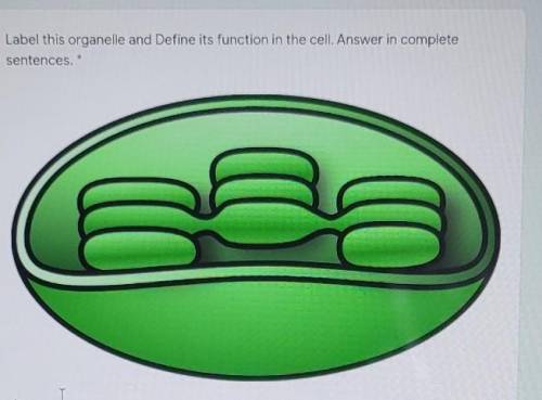 Label this organelle and Define its function in the cell.​