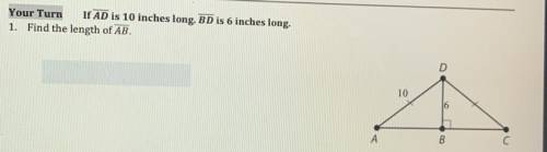 If AD is 10 inches long BD is 6 inches long