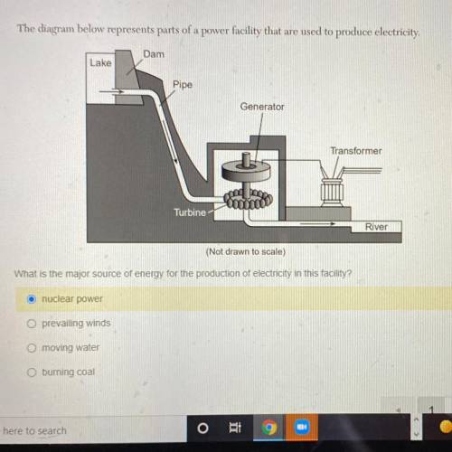The diagram below represents parts of a power facility that are used to produce electricity.

Dam