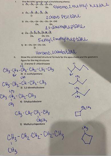 Help! is this correct? im struggling with grasping a new biochem class