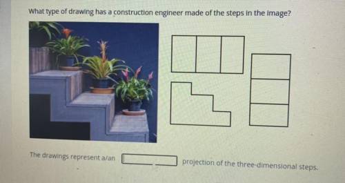 What type of drawing has a construction engineer made of the steps in the image?

The drawings rep