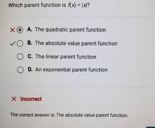 Which parent function is f(x) = |x|?

A. The quadratic parent function B. The absolute value paren