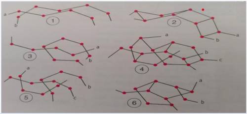 Six simple structures of polymers of plastics are given below. Study the structure and answer the f