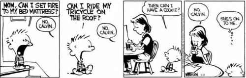 HEEELP

I'm Brazilian and I can't understand a Calvin comic strip.
What does Calvin mean by
