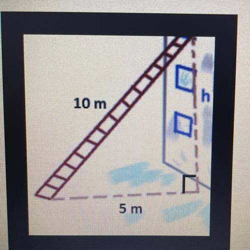 A 10 meter ladder was placed on an angle. The base of the ladder is 5 meters away from the

buildi