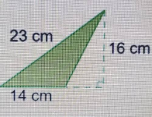 What is the area of the triangle in centimeters squared?​